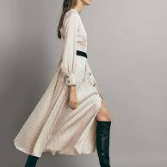 Massimo Dutti Cream Polka Dot Long Sleeve Dress - Picture 4 of 10